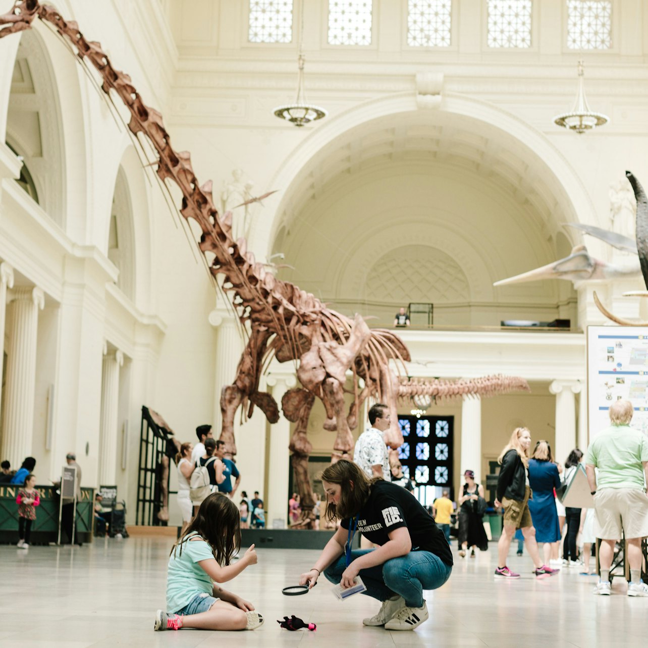 The Field Museum of Natural History: General Admission - Accommodations in Chicago