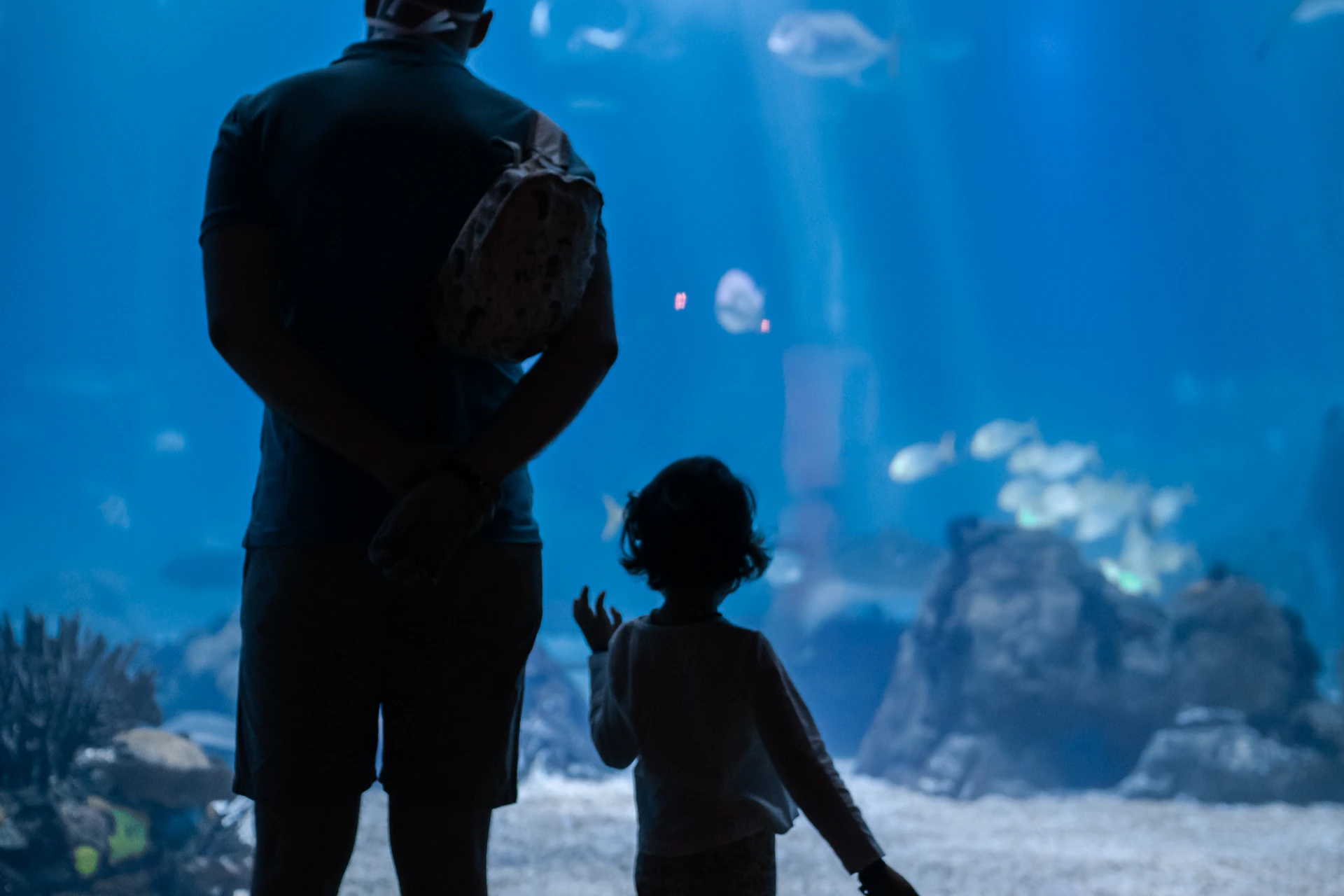 Private Guided Tour of Oceanário de Lisboa