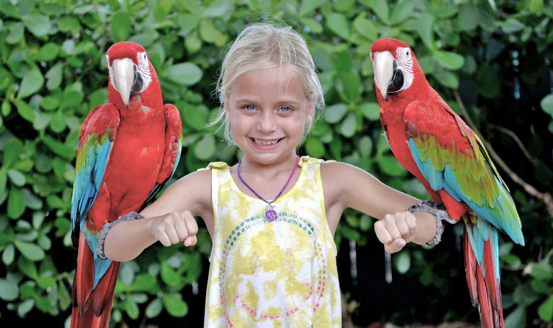 A smiling child poses with two red parrots perched on their arms, standing in front of green foliage.