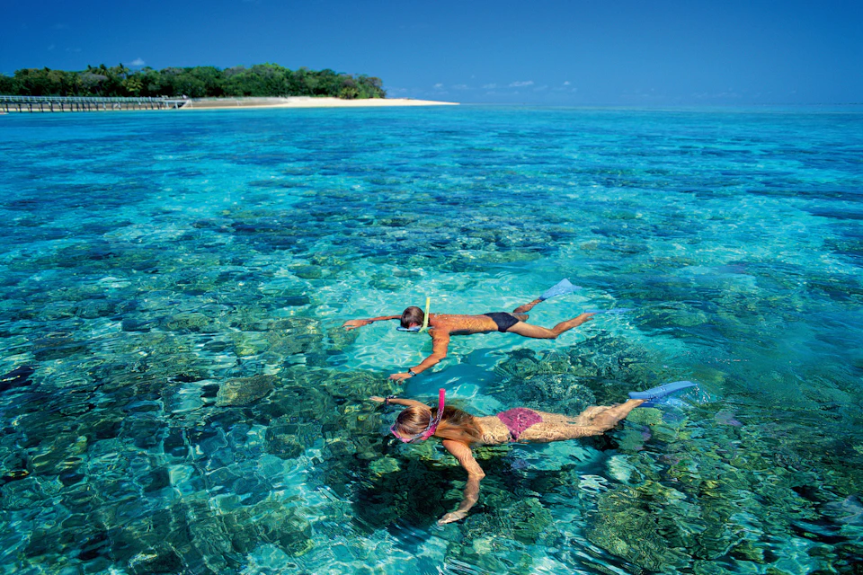 Snorkeling at Green Island