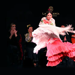 A flamenco dancer in a pink dress and fringed shawl performs energetically on stage, with seated people clapping in the background.