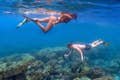 Snorkel and discover an underwater paradise.