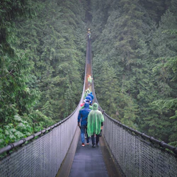 Grouse Mountain & Capilano Suspension Bridge Park: Guided Tour 2