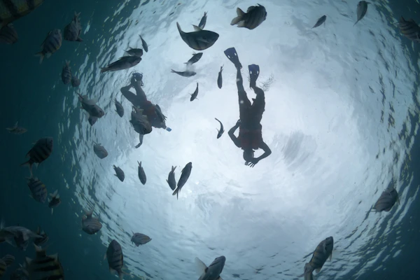 Tickets Wereldmuseum Rotterdam