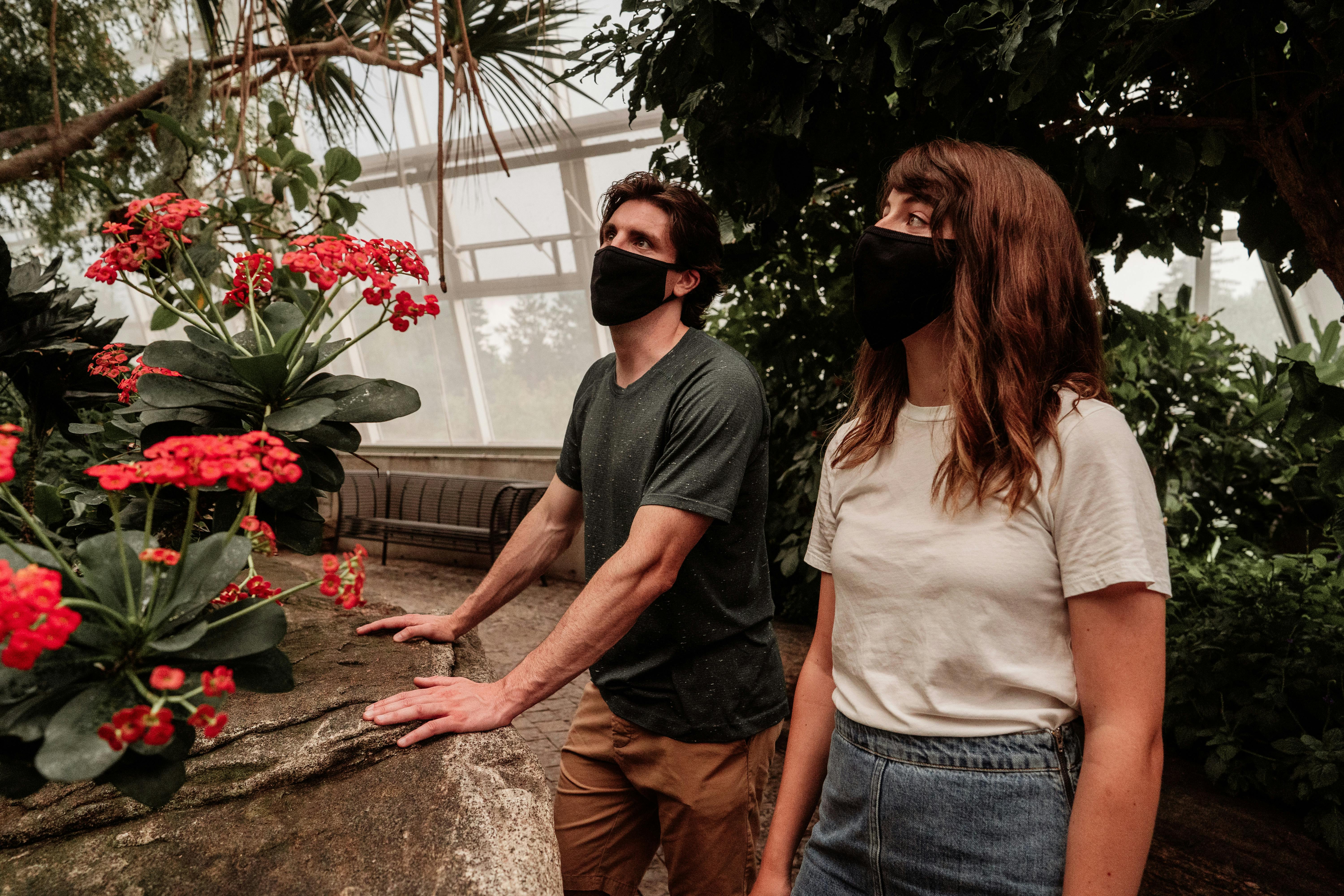 两个戴着黑色口罩的人在温室内观察到红色的花朵，双手放在高大的石头窗台上。