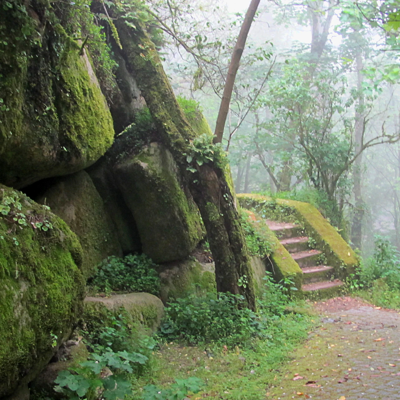 Pena Park in Sintra: Entry Ticket in Sintra β Tiqets