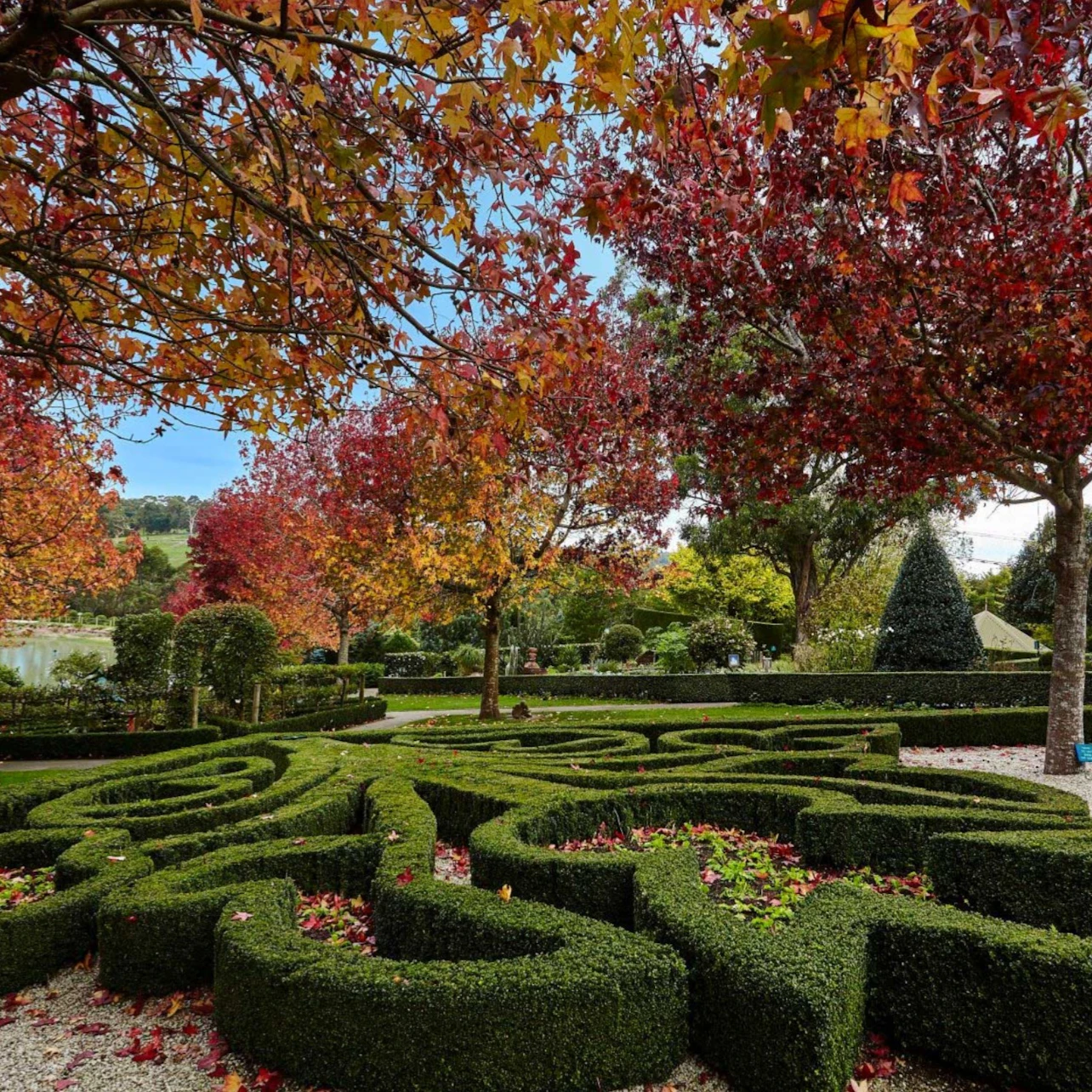 Enchanted Adventure: 1-Day General Admission Ticket in Arthurs Seat β Tiqets