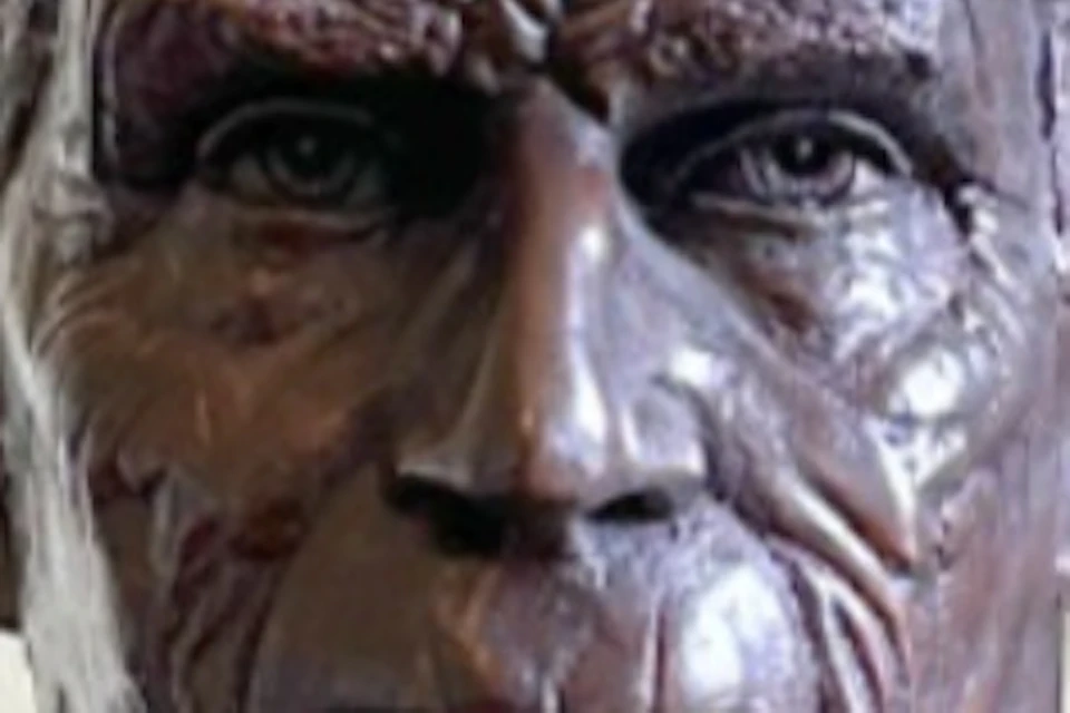 A dark bronze bust of an older man with detailed facial features, displayed on a black pedestal against a cream-colored wall.