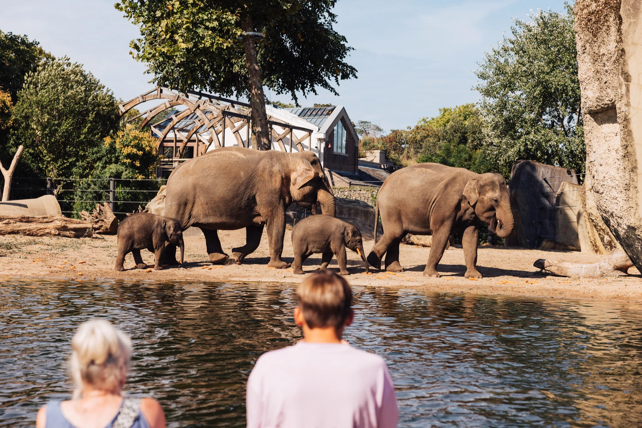 ARTIS Amsterdam Royal Zoo: Entry Ticket