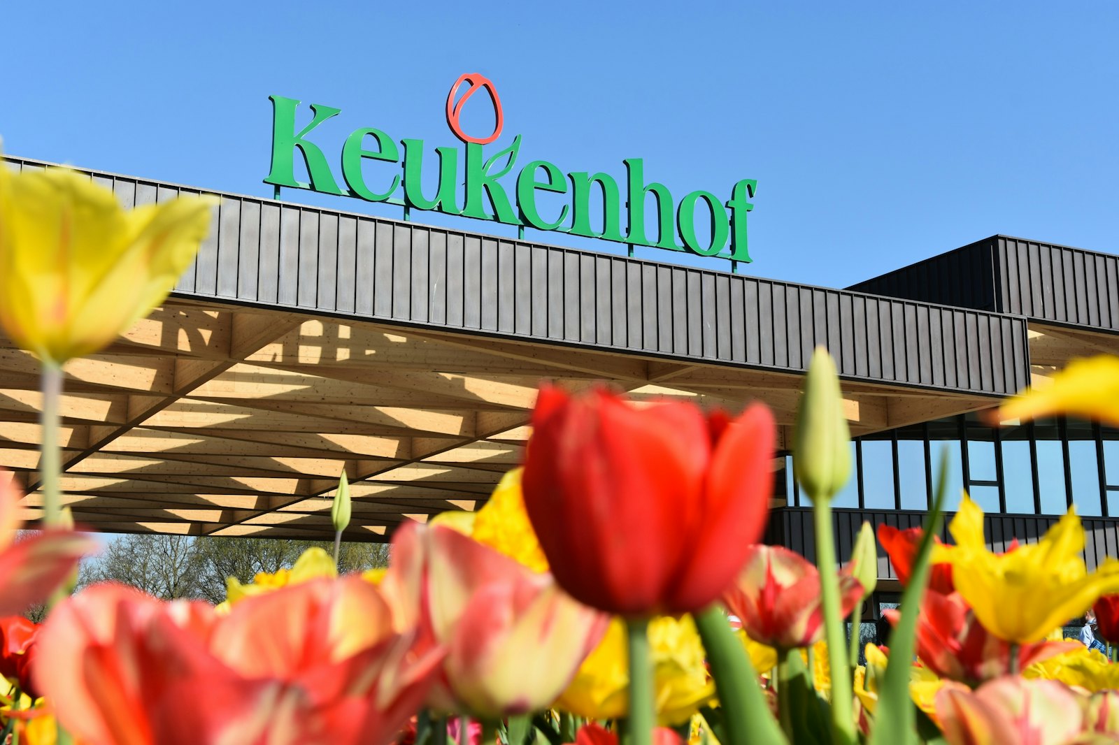 Photo of flowers in front of Keukenhof