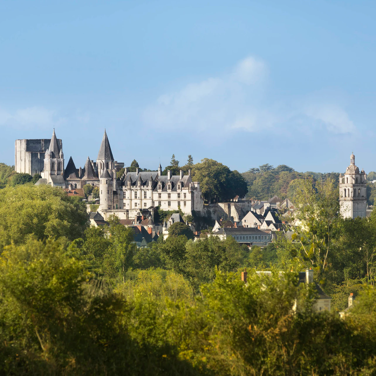 Vue panoramique d'un château historique et d'un village entouré d'arbres, avec un ciel bleu clair en arrière-plan.