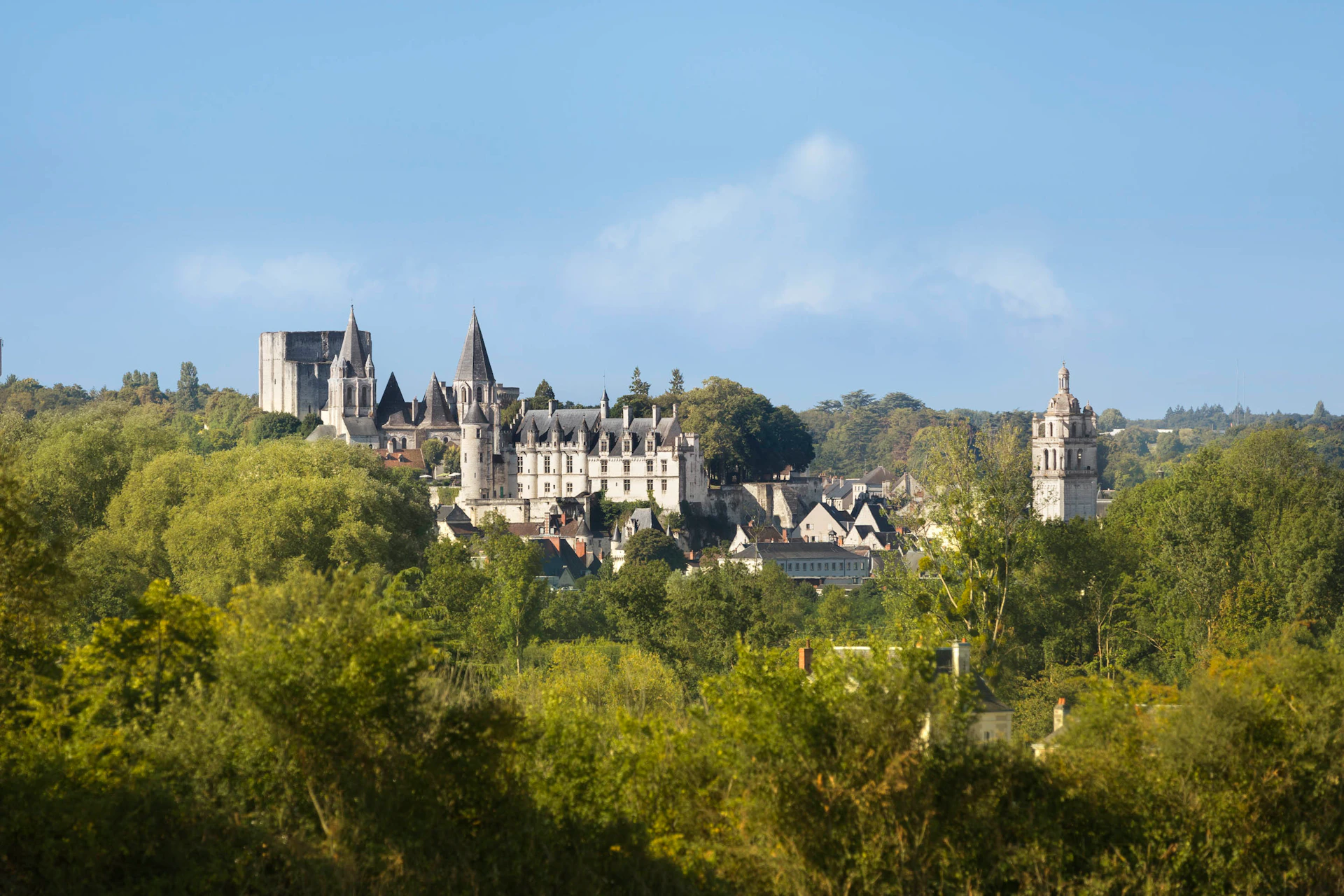 A scenic view of a historic castle and village surrounded by trees, with a clear blue sky in the background.