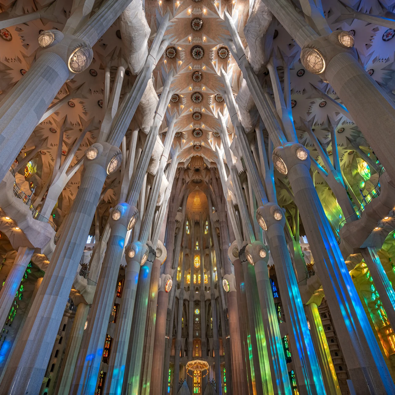 Sagrada Familia: Fast Track Ticket in Barcelona β Tiqets