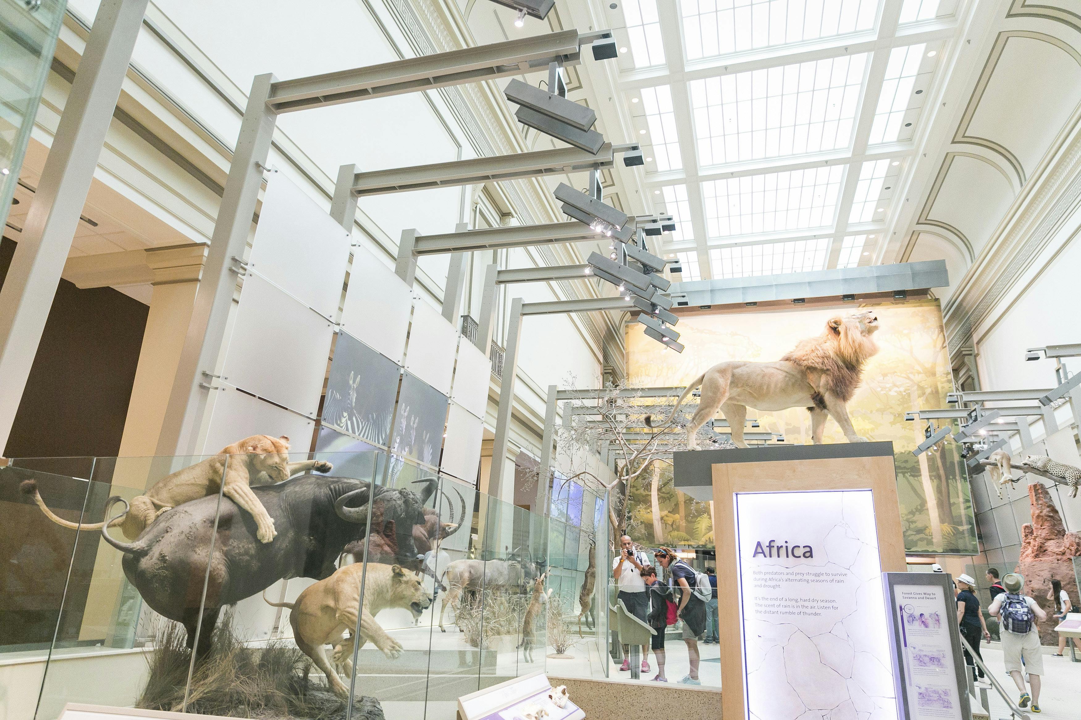 Tickets Smithsonian National Museum of Natural History Washington, D