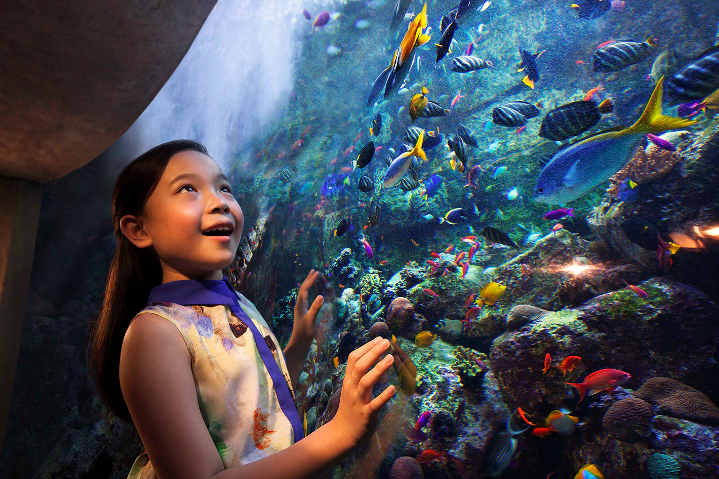 Aquaventure World: Waterpark Day Pass + Lost World Aquarium