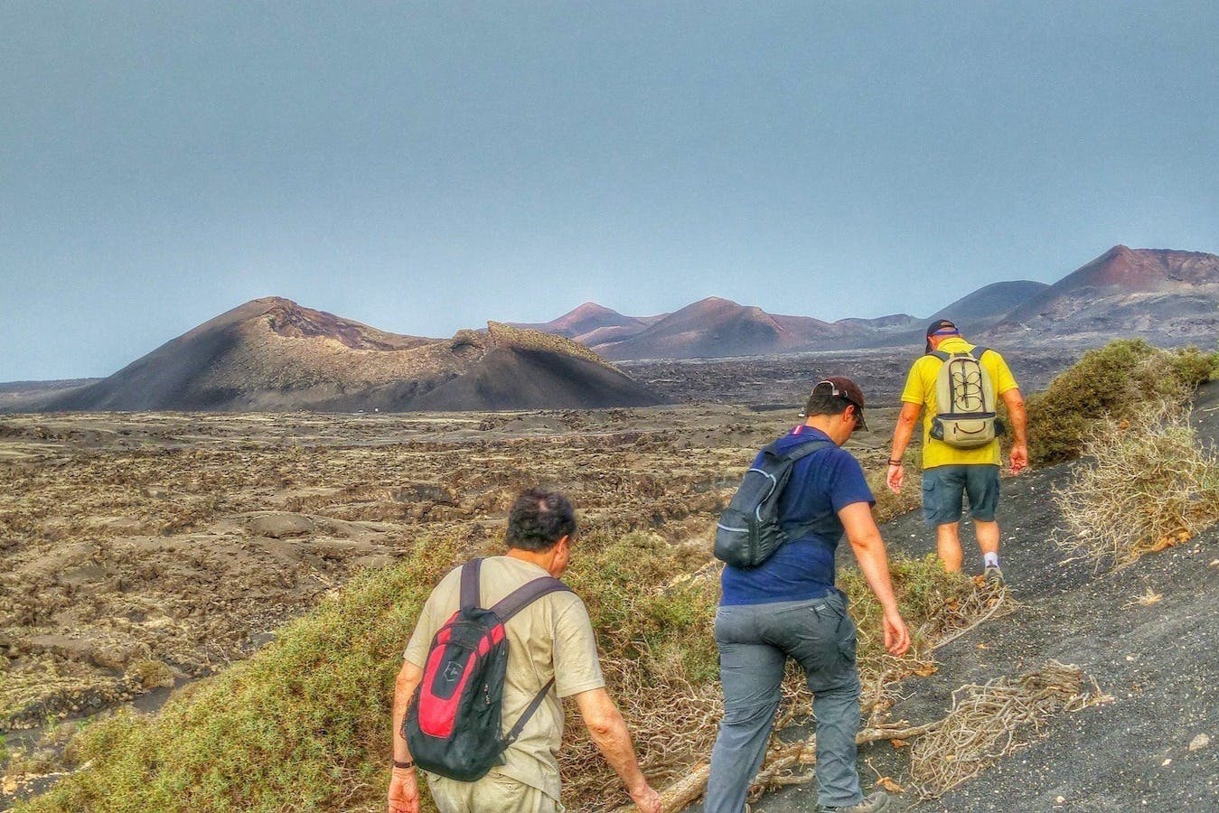 Parque Natural de los Volcanes: Escursione guidata + Trasferimenti + Spuntino — 3