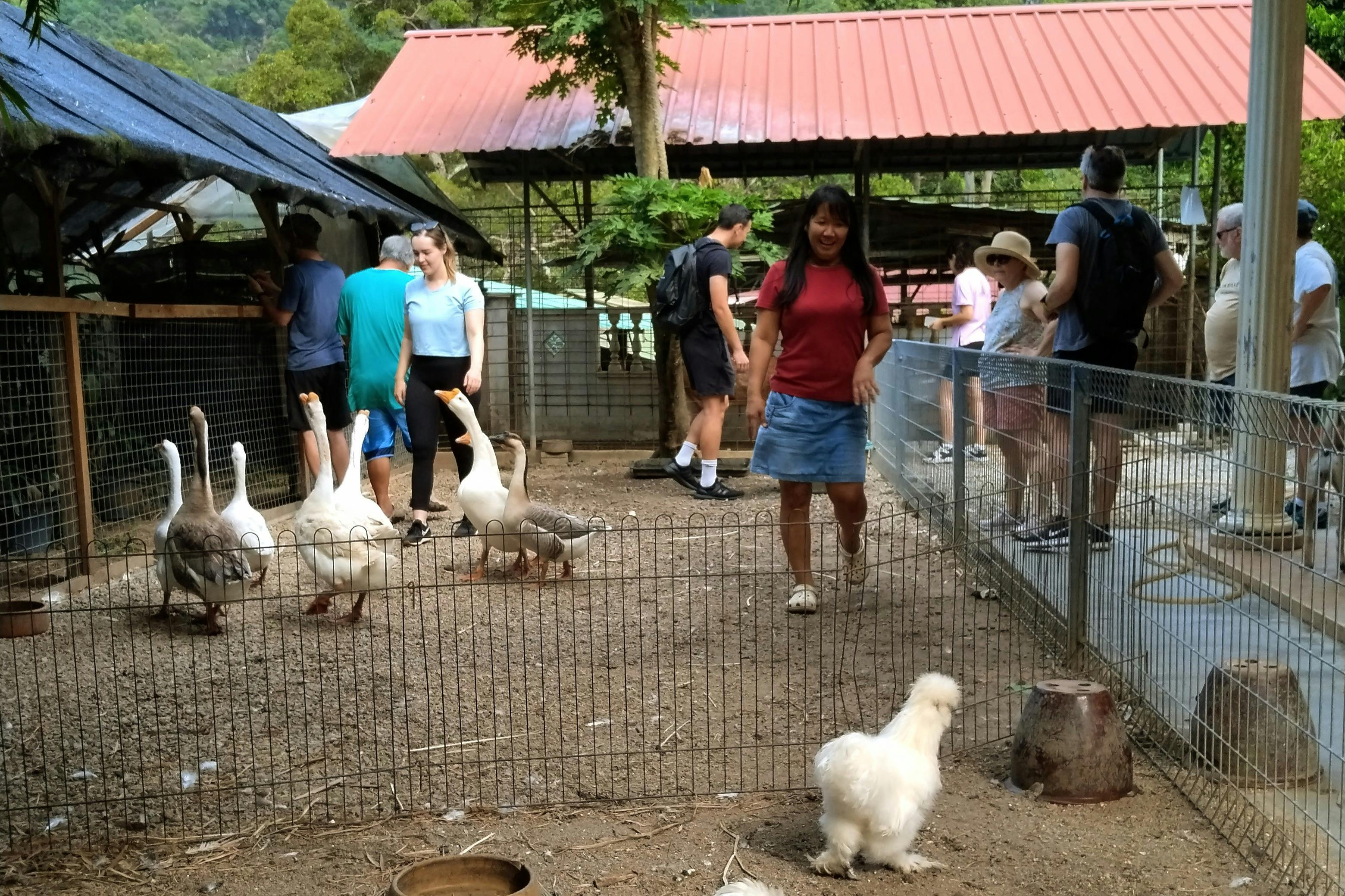 현지에서 운영하는 가족 농장을 방문하세요.