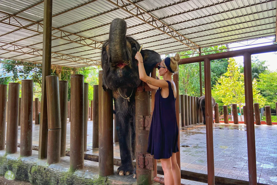 Kuala Gandah Elephant Sanctuary Tour - Share Tour-Join-In Tour