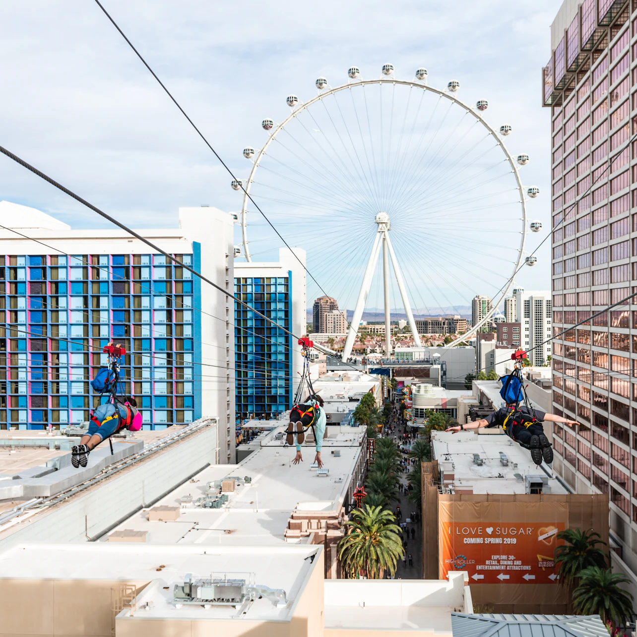 Fly LINQ Zipline Las Vegas: Entry Ticket in Las Vegas β Tiqets