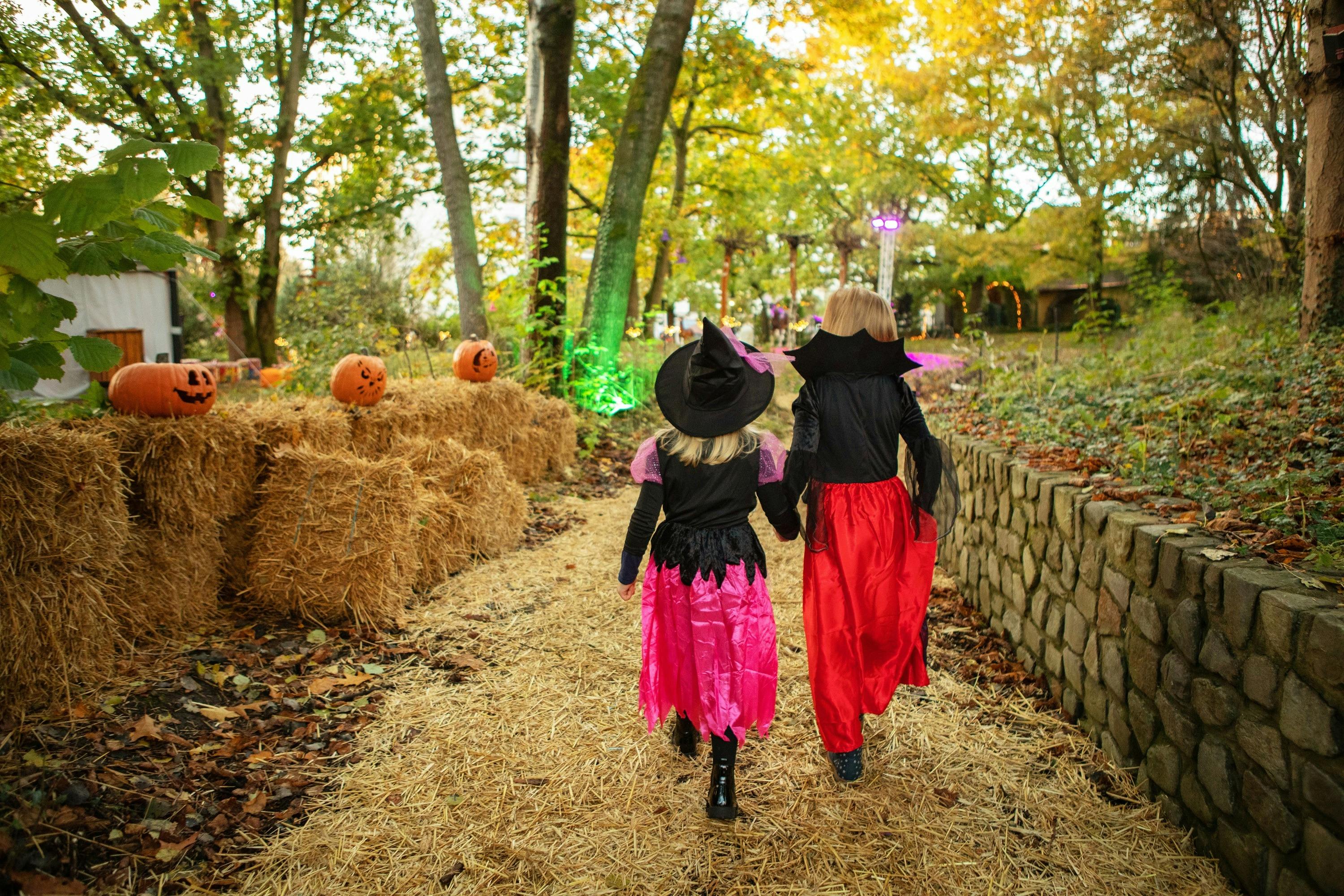 Due bambini in costume di Halloween camminano lungo un sentiero ricoperto di paglia in una zona boschiva decorata con zucche.