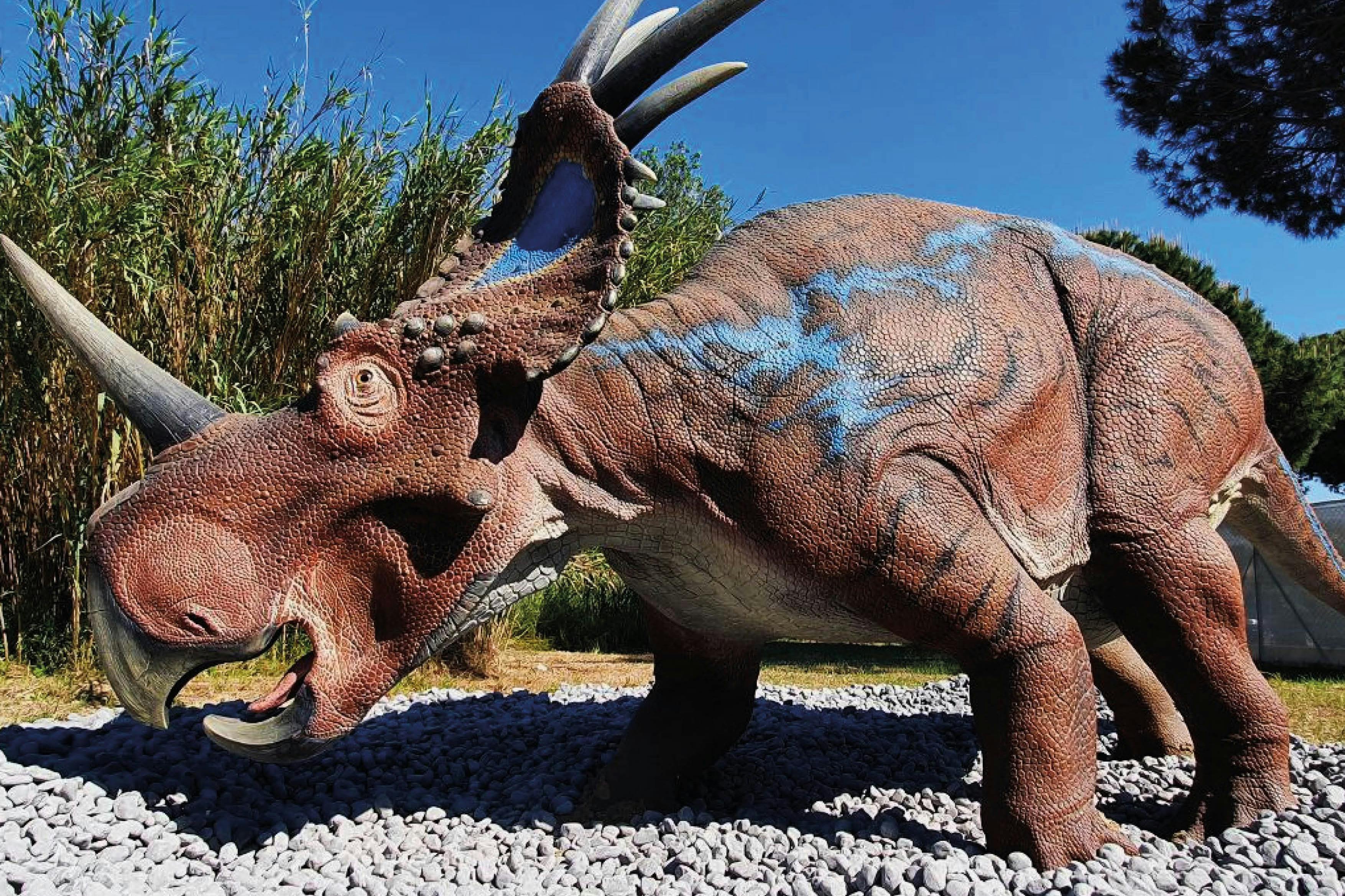 Realistický model dinosaura s rohy a strukturovaným vzorem kůže, umístěný venku na štěrkovém povrchu pod modrou oblohou.