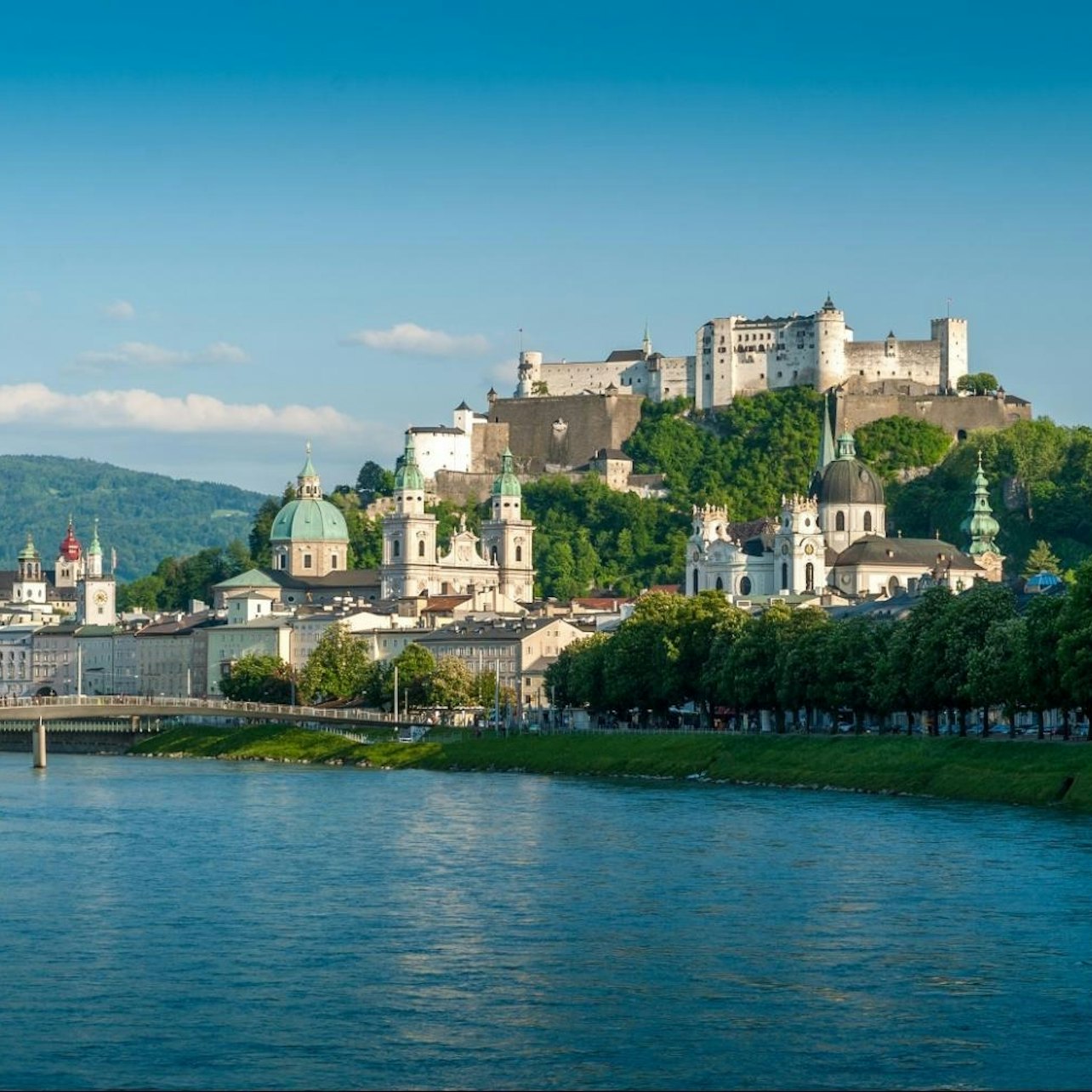 Excursión de un día de Viena a Salzburgo - Alojamientos en Viena