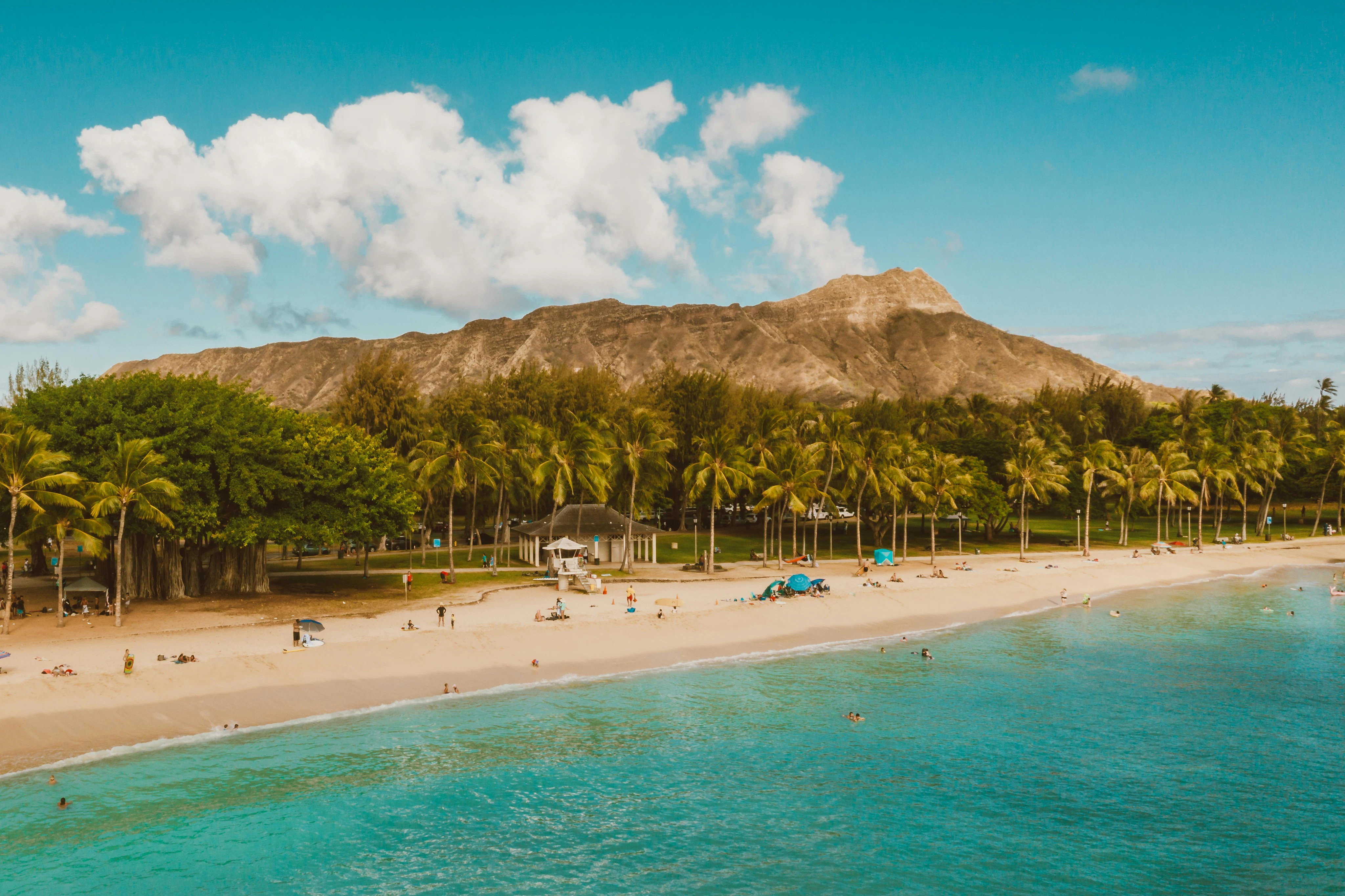 Waikiki: Roundtrip Shuttle Transfer from Ko Olina