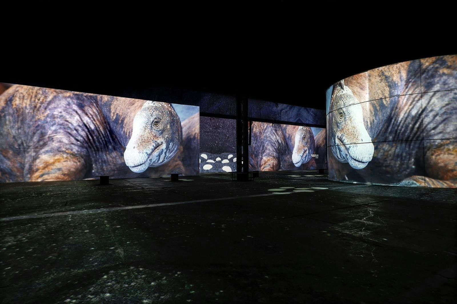Phoenix des Lumières: Prehistoric Planet - The Immersive Experience 3