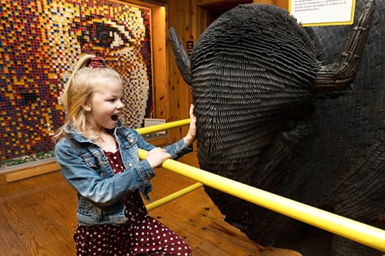 Ripley 's Believe It or Not! Branson