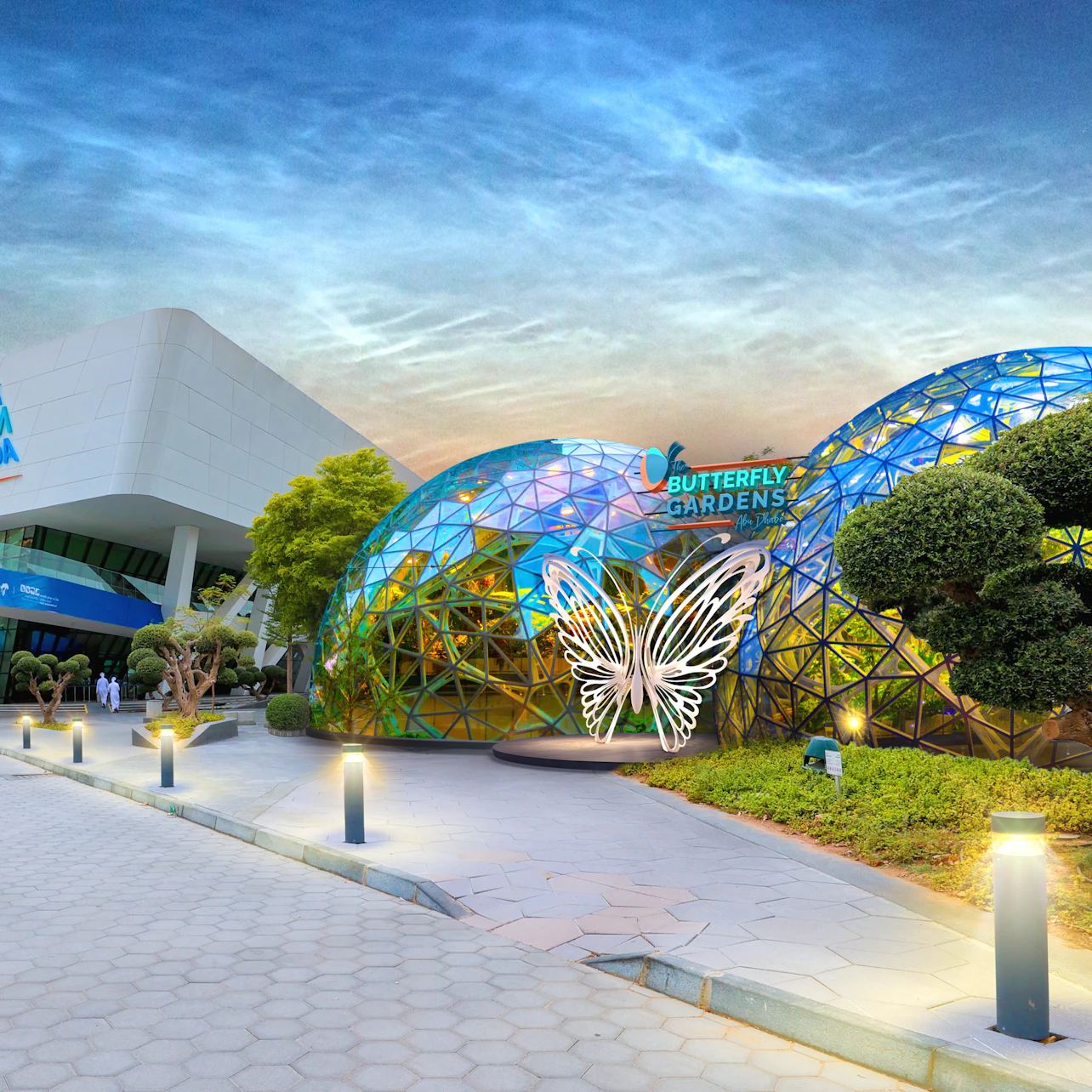 The Butterfly Gardens & The National Aquarium Abu Dhabi: Entry Ticket
