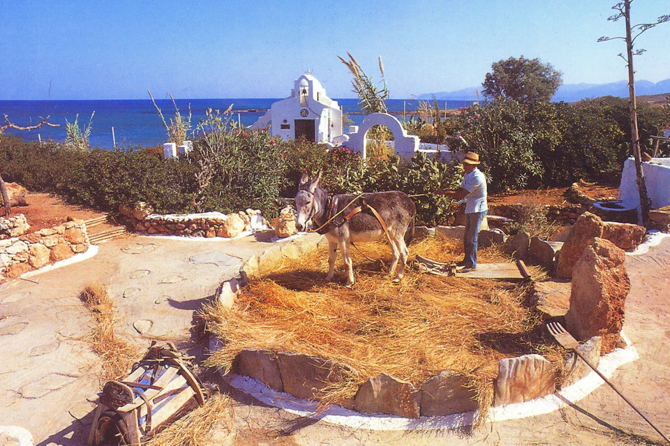 THRESHING FLOOR