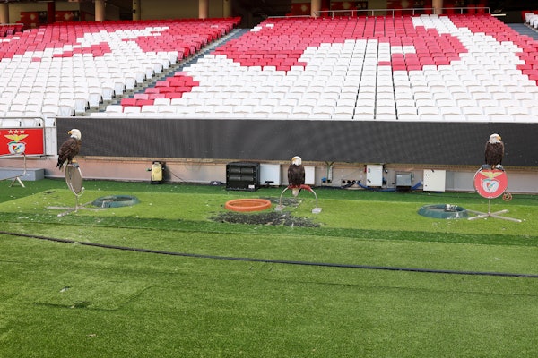Smartbox Benfica Lisbonne En Famille - Visite Stade Luz + Musée + Écharpe Pour 4 Personnes
