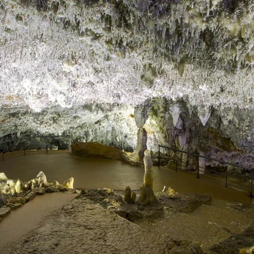 Caverna El Soplao: bilhete de entrada - Photo 7