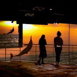 Port des Lumières: Ocean Wonders - An Immersive Dive Entry in destination