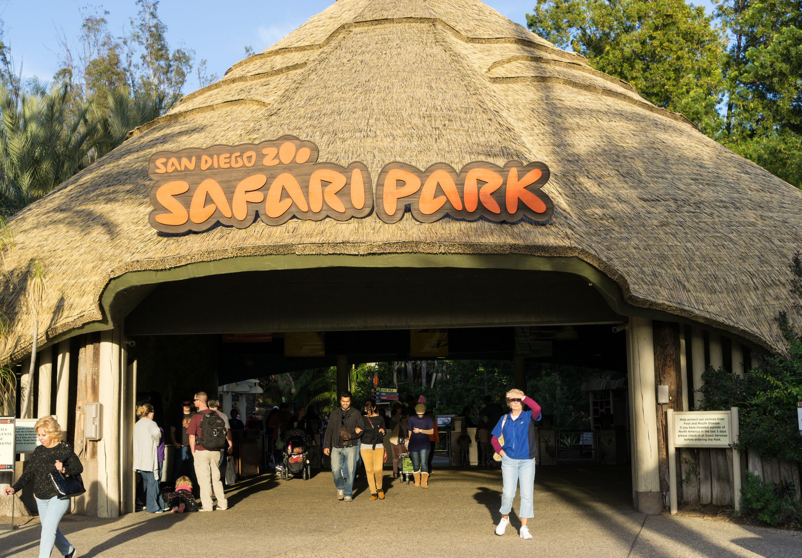 san diego zoo opens
