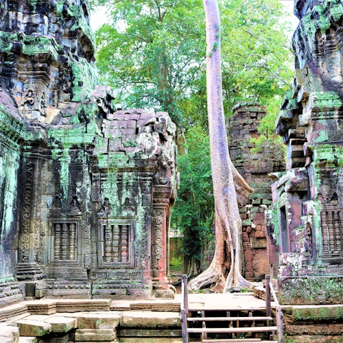 Angkor Wat: Visita guiada al amanecer