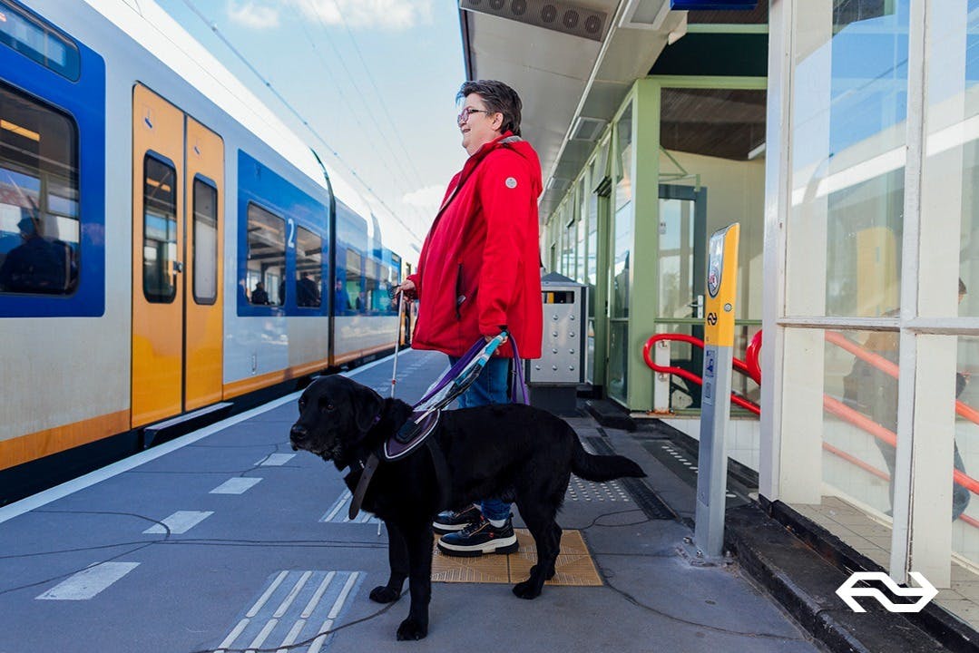 Dutch Railways Train