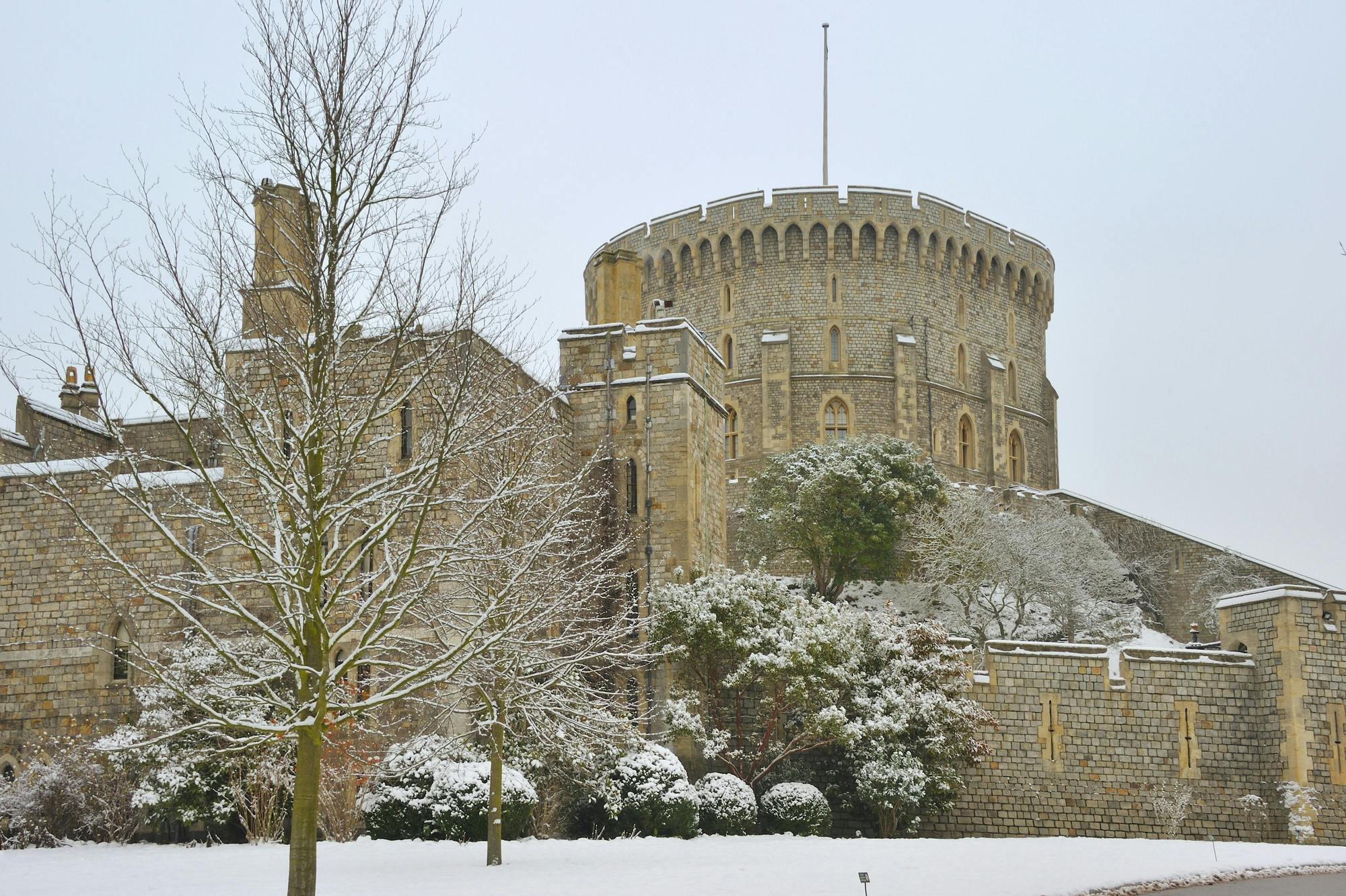 둥근 탑, 맨발의 나무, 상록수 관목이 있는 눈 덮인 성.