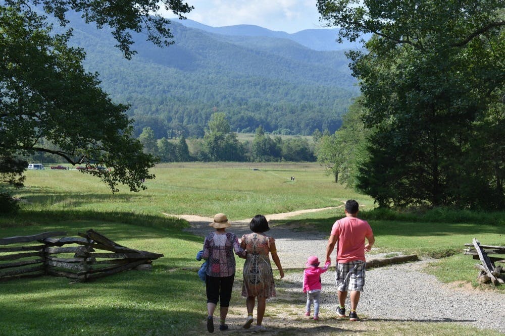 スモーキーの光景