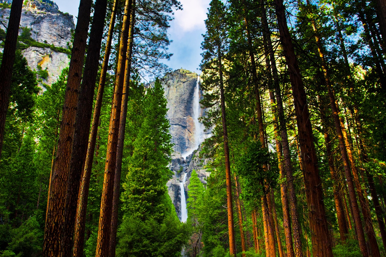 Yosemite: 1-Day Experience Including Entrance and Guided Tour - Accommodations in San Francisco