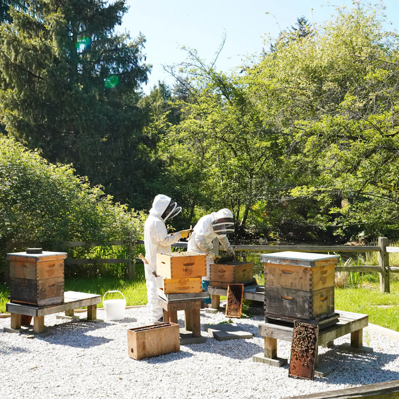 VanDusen Botanical Gardens