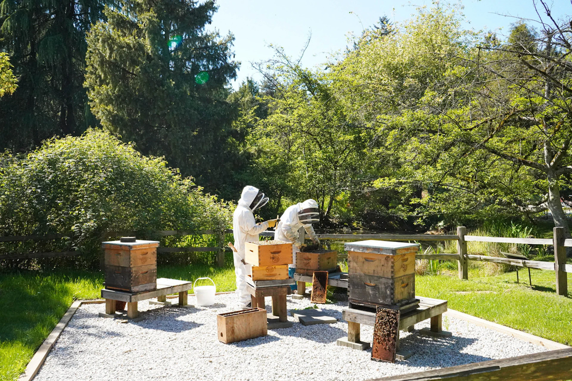 VanDusen Botanical Gardens