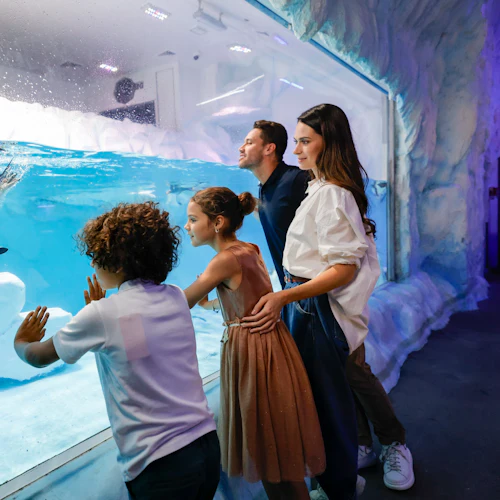 A group of people observing a penguin swimming in an aquarium exhibit with an icy environment.