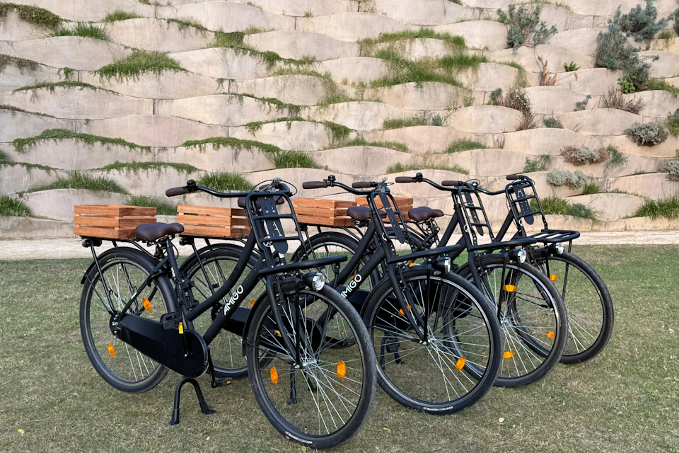 Enjoy the incredibly comfortable upright riding position and timeless style of a true Dutch classic. Rent yours today!
