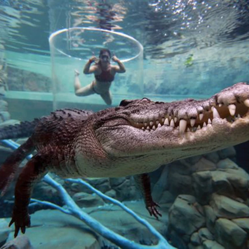 Crocosaurus Cove tickets | Darwin