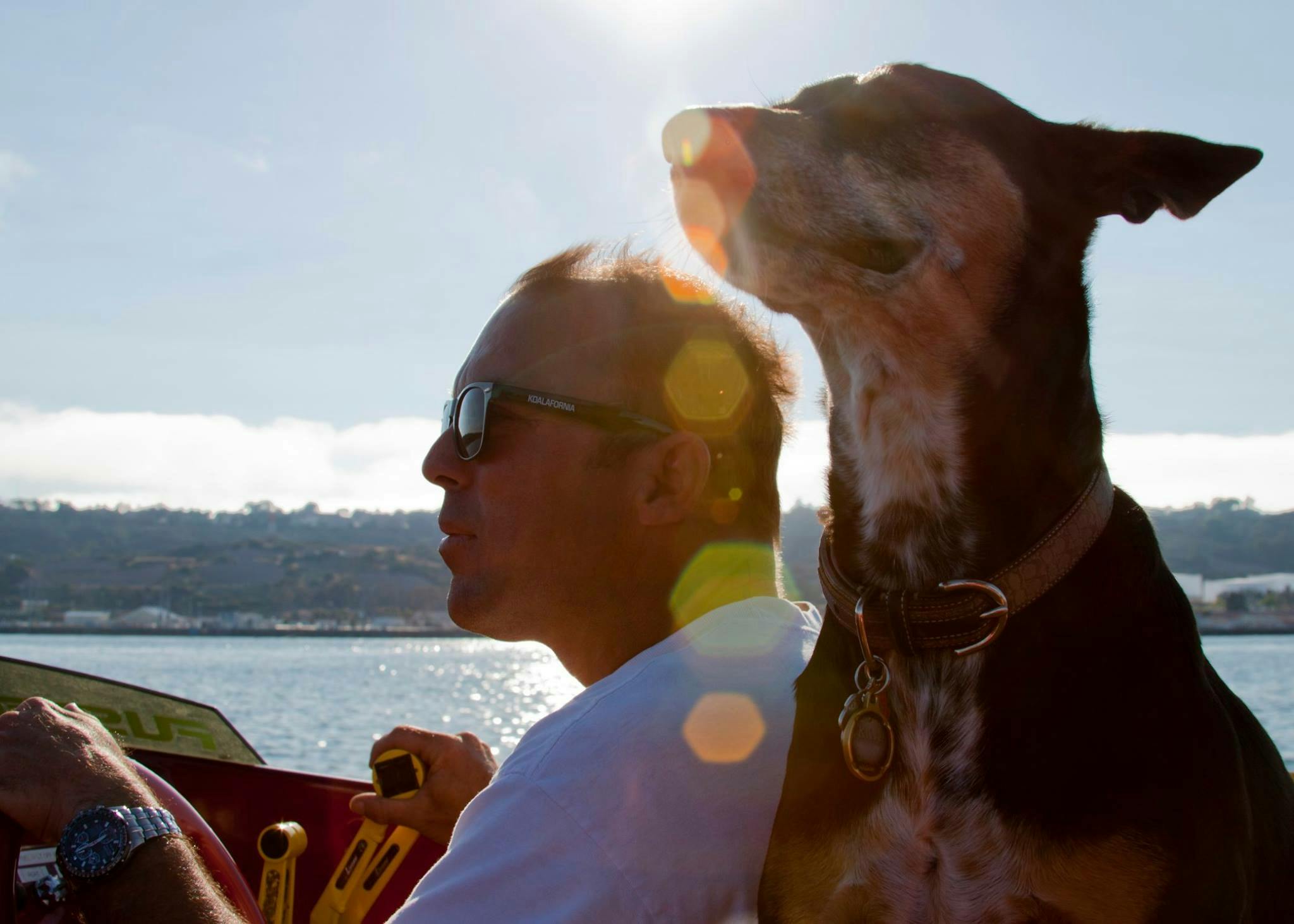 Customer and their dog enjoying a Speedboat Tour