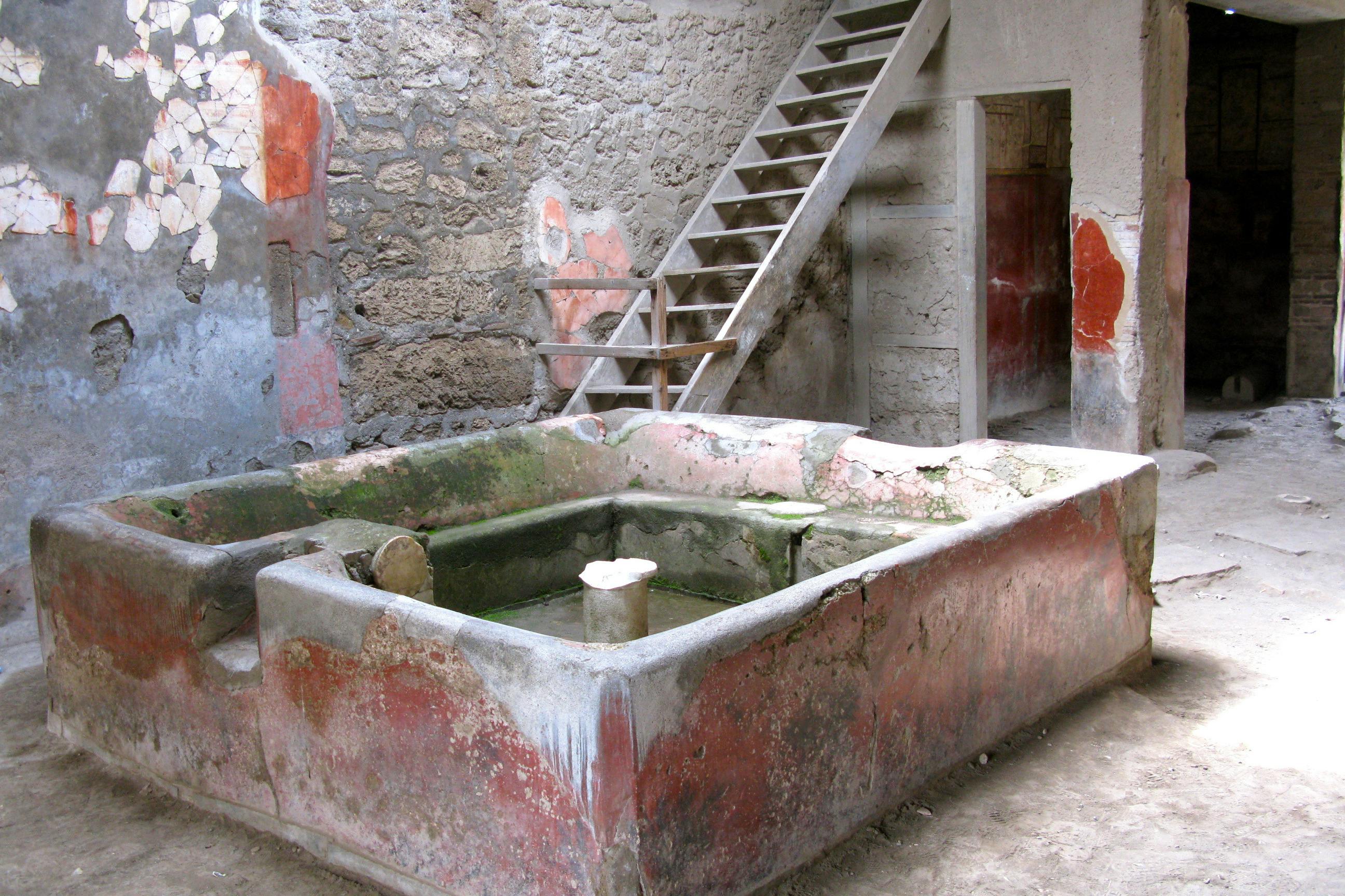 Pompeii: Guided Tour + Roundtrip from Naples 4