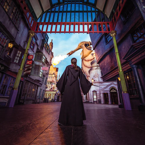 Universal Orlando: Single Day Park-to-Park Ticket