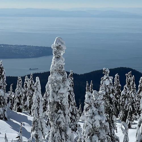 Vancouver: Passeio guiado com raquetes de neve na Grouse Mountain - Photo 9