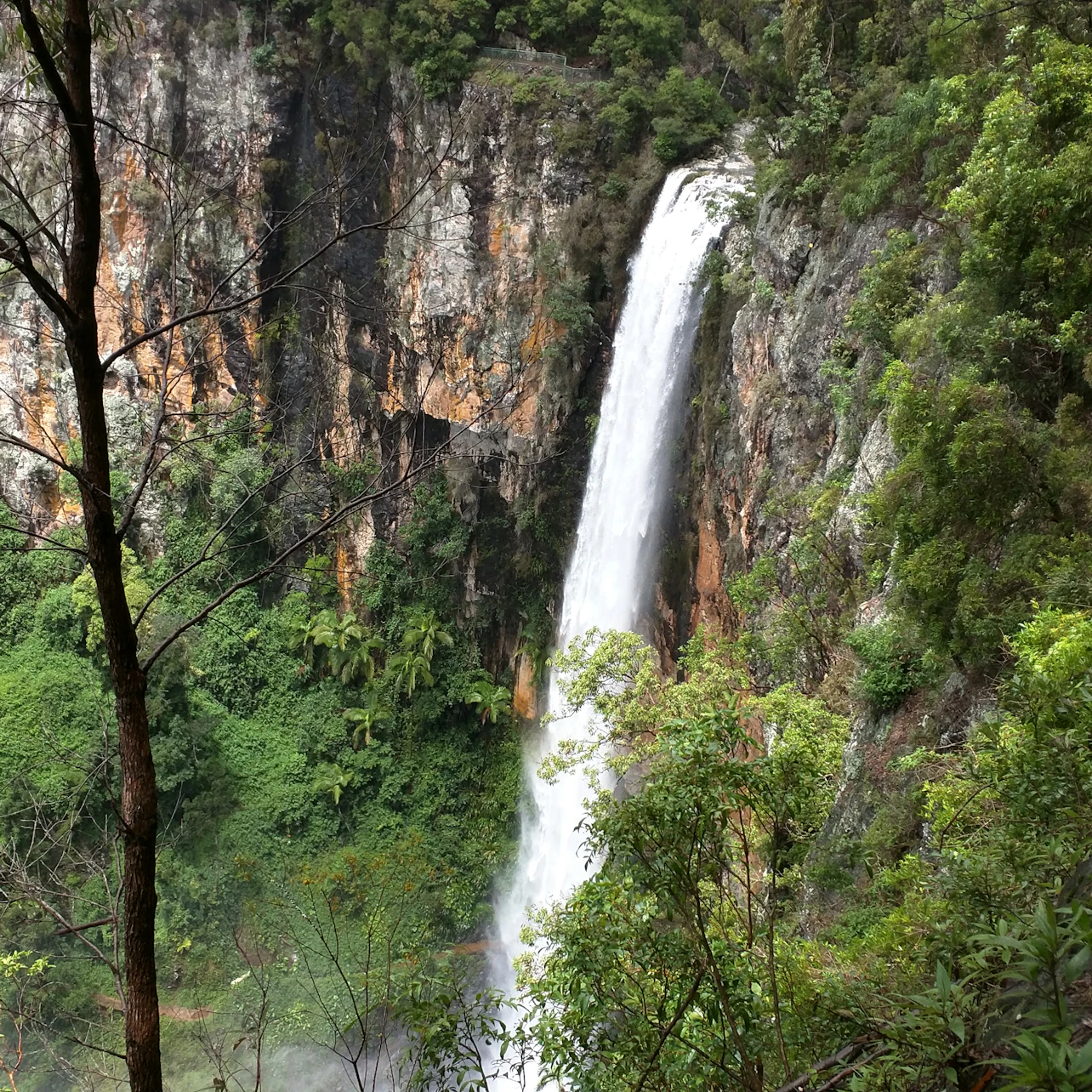Purlingbrook Falls